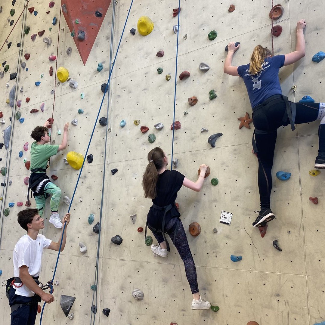 Drei Personen klätern eine Bolderwand hoch 